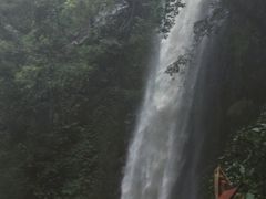 -莫里热带雨林景区