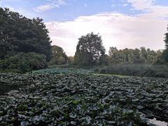 -洛阳市隋唐城遗址植物园