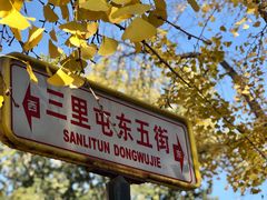 -三里屯东五街银杏大道