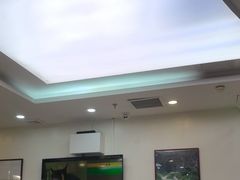 -美联众合动物医院·24h转诊中心