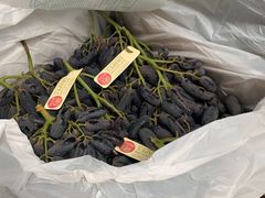 -上海龙吴水胜海发市场