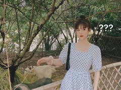 -长兴太湖图影湿地文化园
