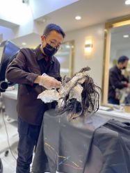 -雅仕 HAIR SALON 美发沙龙