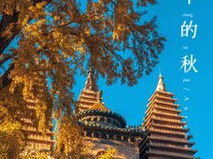 -北京石刻艺术博物馆