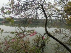 -三圣花乡旅游区