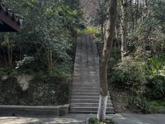 -镇江市南山风景名胜区竹林景区