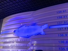 -白鹤梁水下博物馆