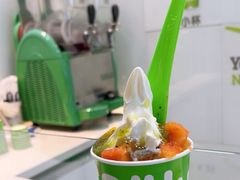 -Salud撒露欧洲冻酸奶(蓝色港湾店)