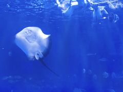 -华夏文旅西安度假区