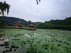 -南国桃园旅游度假区