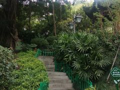 -乌山风景区