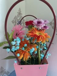 -千禧果月子会所(郑州东站店)