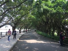 -大湾区中央湿地公园