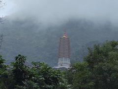 -深圳仙湖植物园