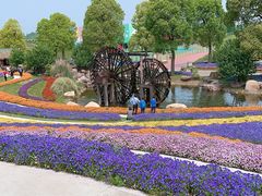 -南通洲际绿博园