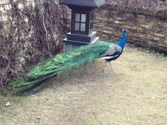iphone_upload_pic-杭州千岛湖开元度假村