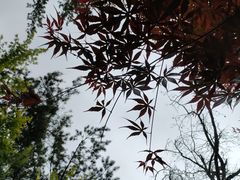 -崂山九水游览区