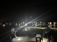 -红树林天天赶海