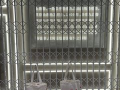-钟薛高(南头古城店)