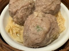 -食为先(Shark Fin)