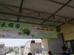 -万源龙顺度假庄园生态观光园