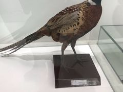 -房山世界地质公园博物馆