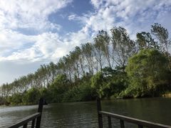 -溱湖国家湿地公园