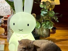 -咖法森林·咖啡  酒吧(天河店)