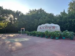 -莲花池公园