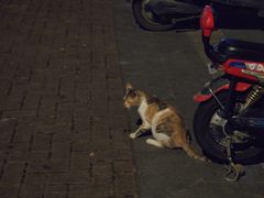 -土灶柴房(世贸店)