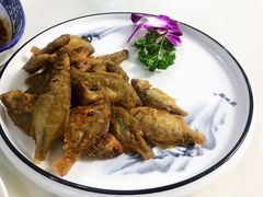鳑鲏鱼-七的湖·晚芳亭·阳澄湖农家菜·大闸蟹(莲花岛店)