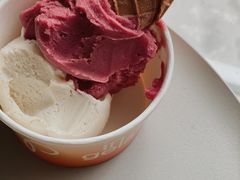 -Dip in Gelato(富民路店)