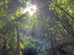 -大岭沟猕猴桃谷风景区