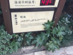-天目湖涵田半山温泉