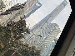 -BUS TOUR观光巴士