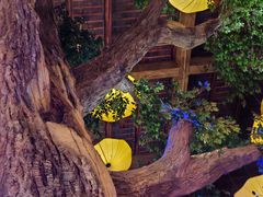 -淀里船宴(卓达店)