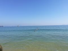 -大梅沙海滨公园