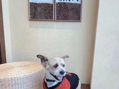 -seeu coffee(江滩店)