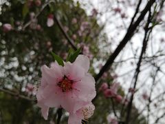 -如皋市龙游湖欢乐世界