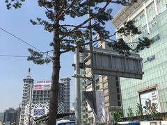 -东大门市场
