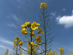 -中国天府农业博览园