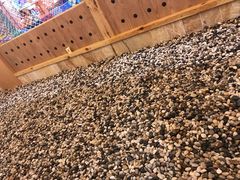 -汤W城市微度假(仓山店)