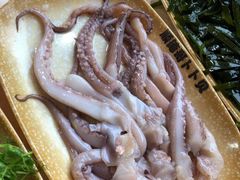 -顺德哥卜卜贝(旗舰店)