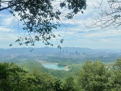 -大奇山国家森林公园