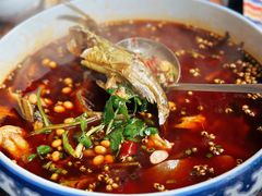 -青城甲(青城山店)