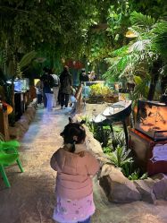 点击看大图 -酷嗒动物文化乐园(cutezoo西溪乐天城店)