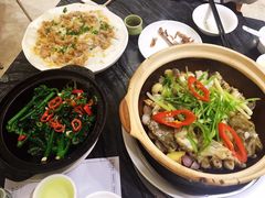 招牌焗多宝鱼-美极鲜食坊(宝安南路店)
