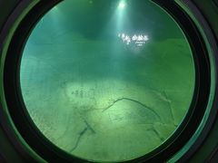 -白鹤梁水下博物馆