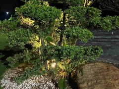 -露天矿生态公园