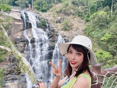 -海南热带雨林国家公园吊罗山景区